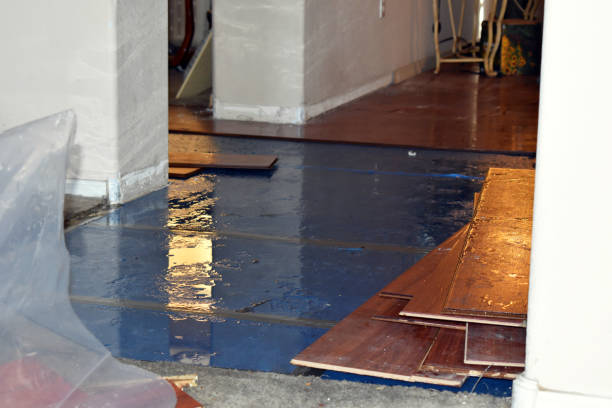 Professional Basement Water Removal technician working in Henderson, NC