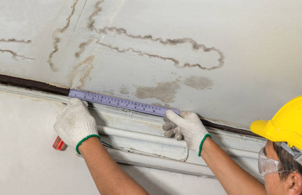 Reliable Basement Water Removal contractor in Henderson, NC by Water Damage Irwin